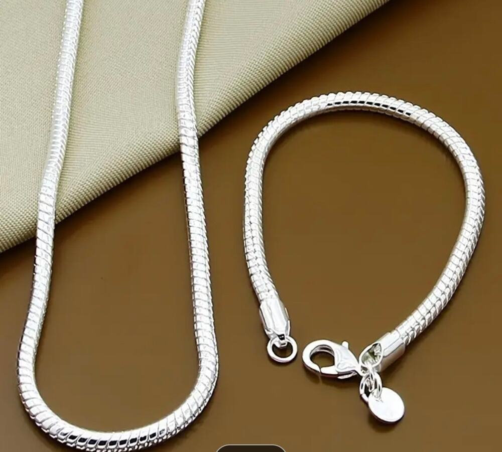 925 Sterling Silver Snake Bone Chain Bracelet and Necklce Set NWT Minimal Modern